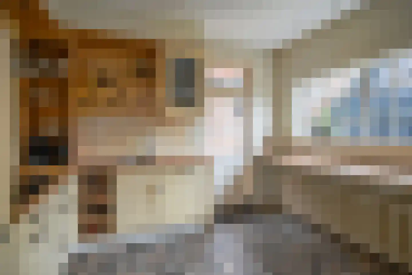 Hoefweg 7 Bleiswijk thumbnail 22