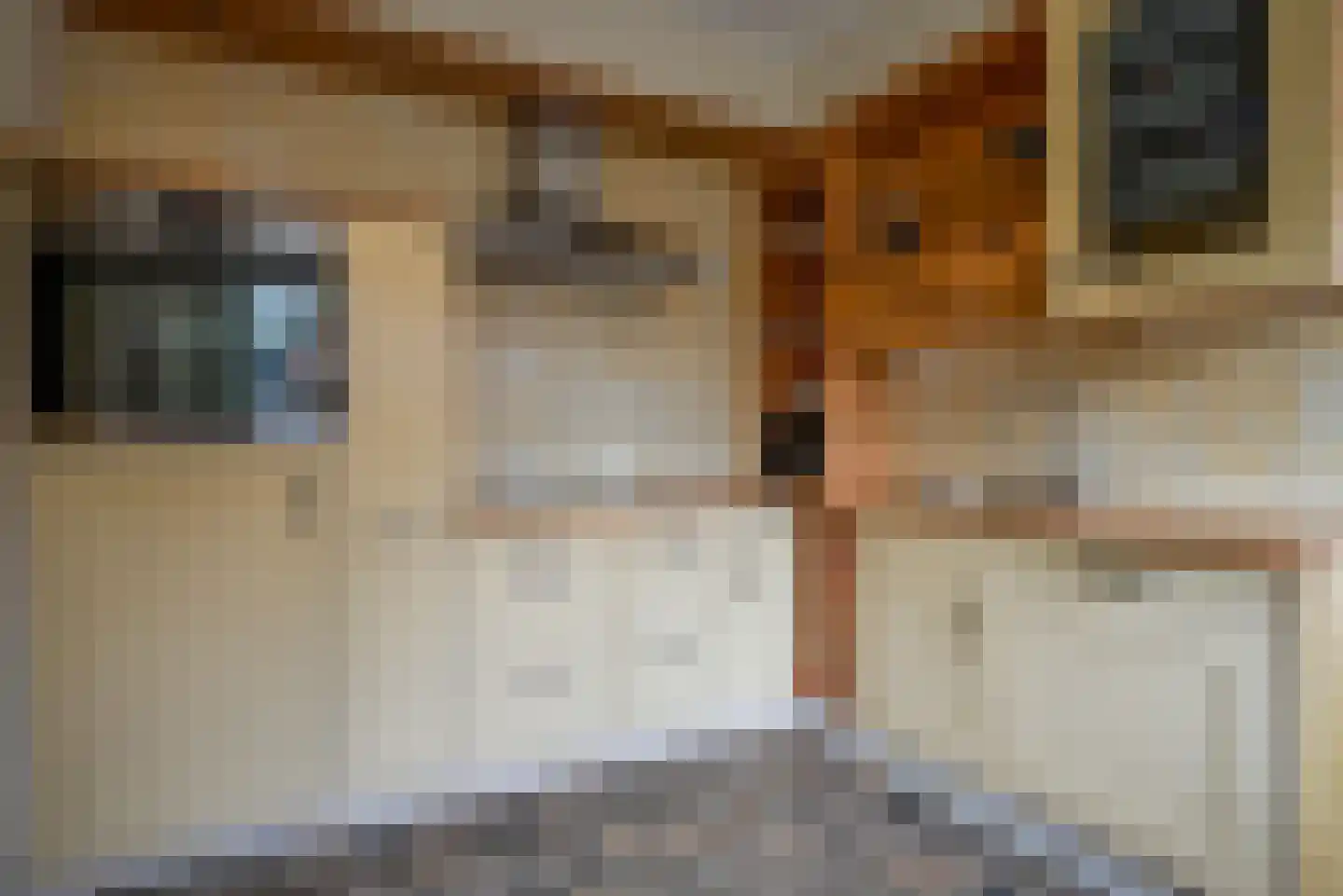 Hoefweg 7 Bleiswijk thumbnail 23
