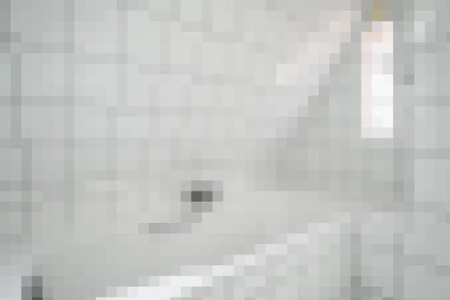 Hoefweg 7 Bleiswijk thumbnail 31