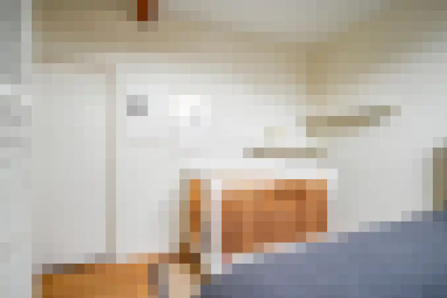 Hoefweg 7 Bleiswijk thumbnail 33