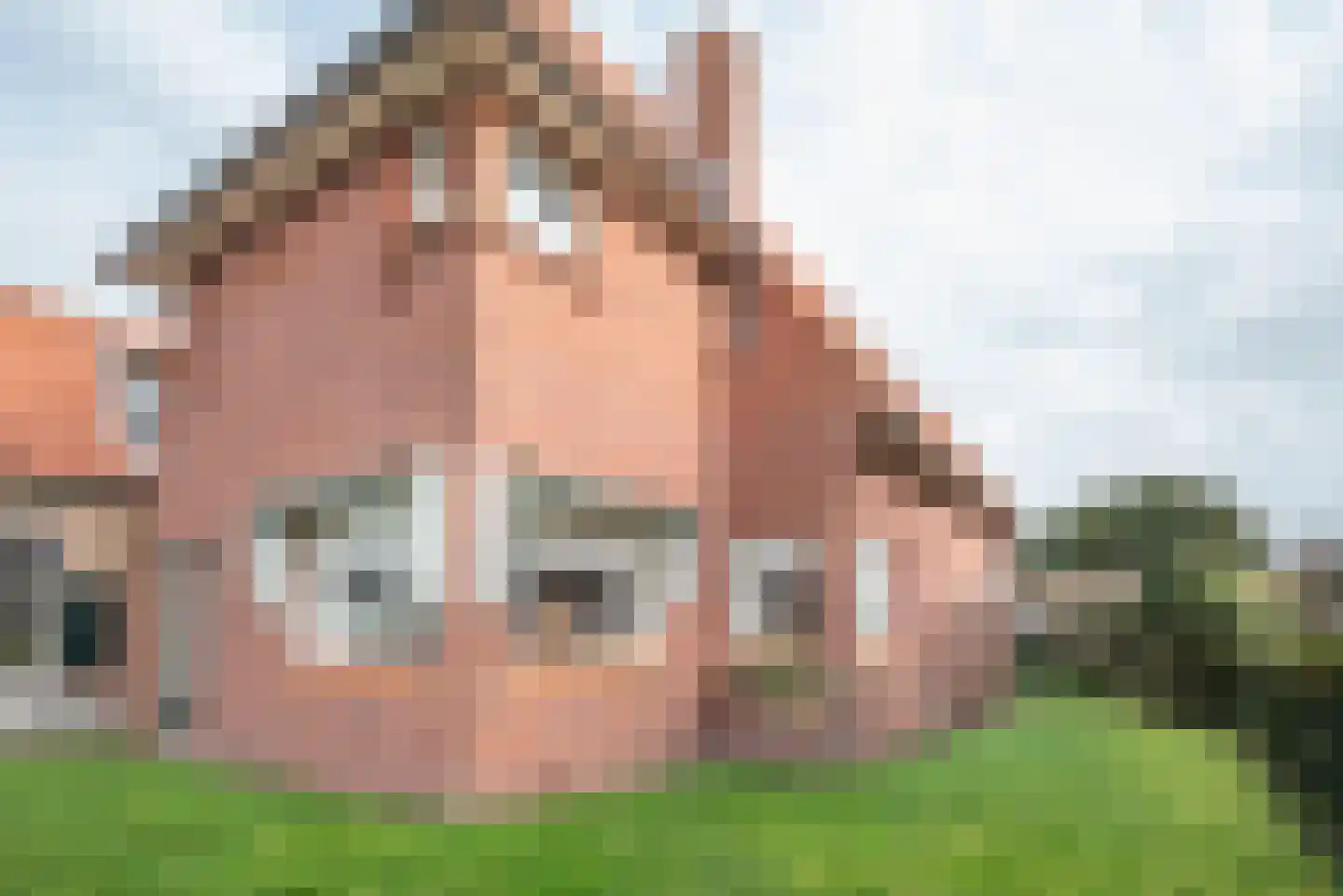 Hoefweg 7 Bleiswijk thumbnail 43