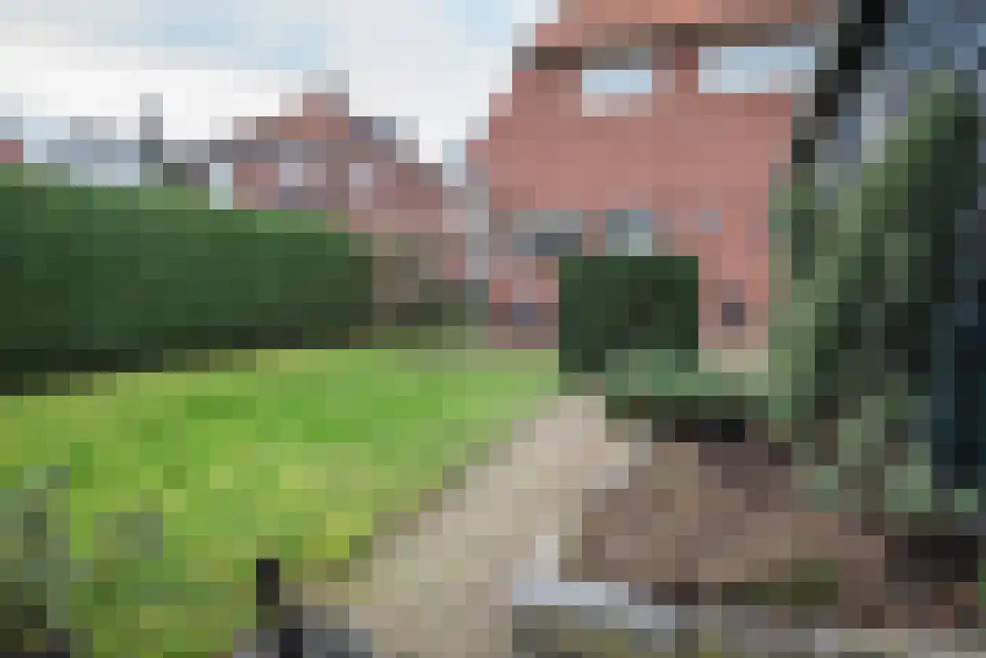 Hoefweg 7 Bleiswijk thumbnail 45