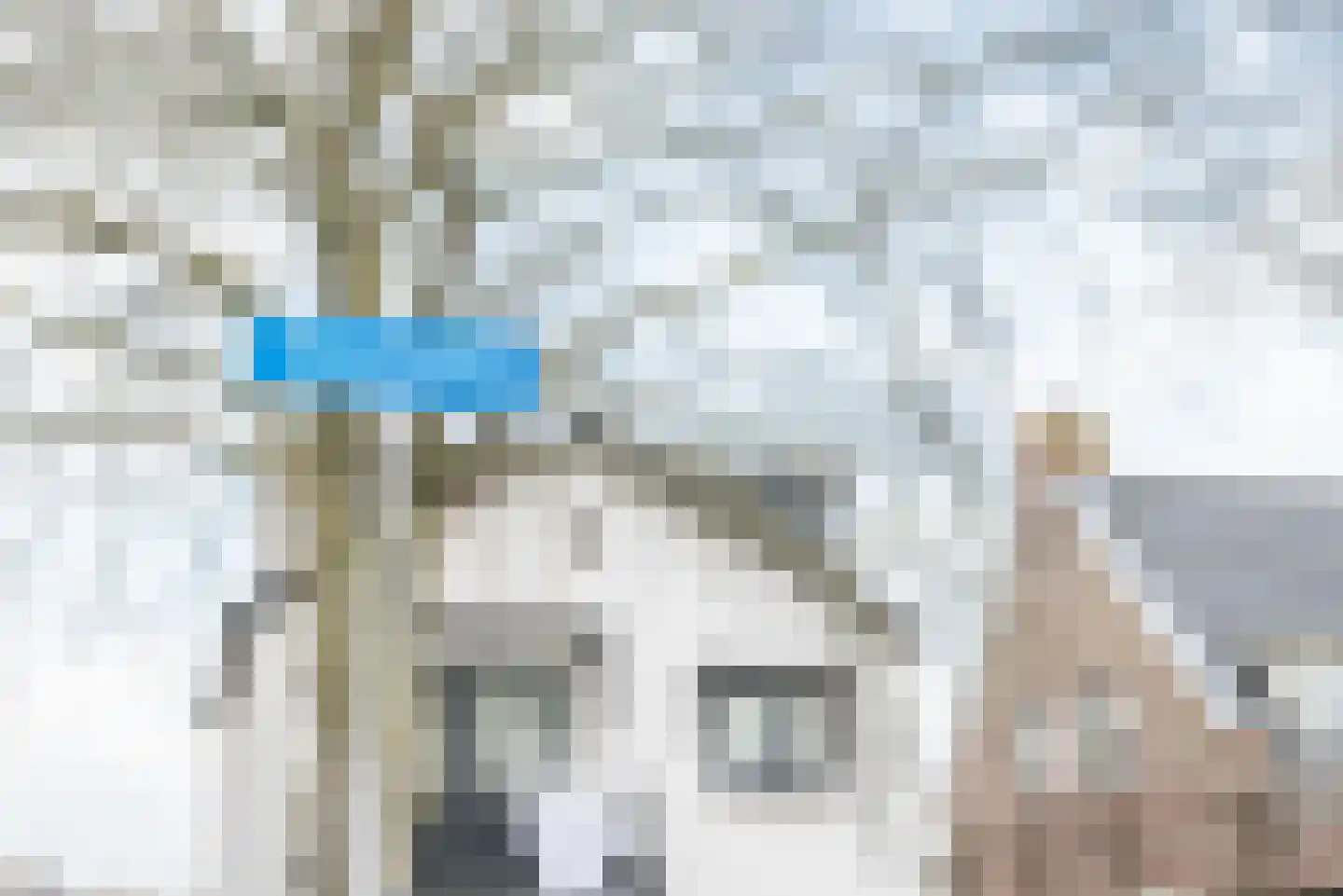 Hoefweg 7 Bleiswijk thumbnail 50