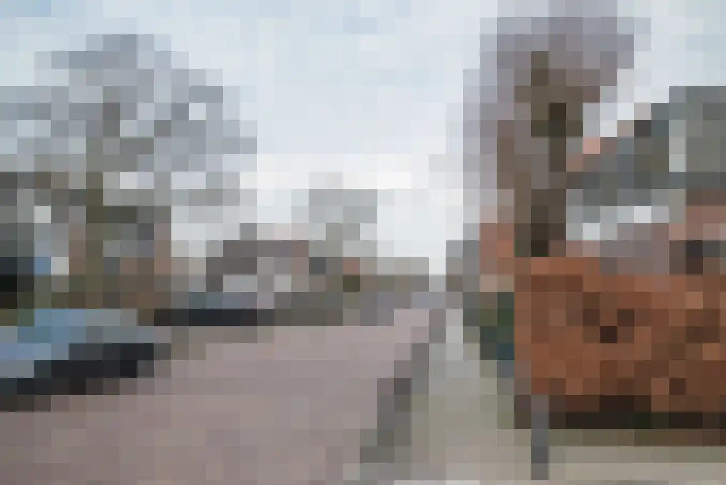 Hoefweg 7 Bleiswijk thumbnail 52