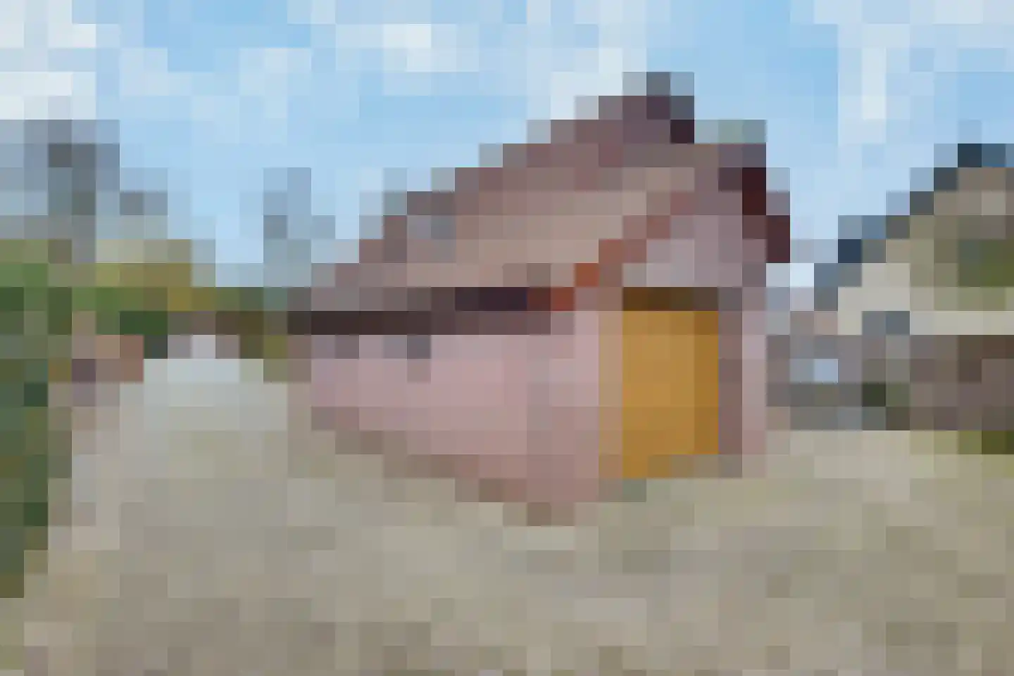 Hoefweg 8 a Andel thumbnail 27