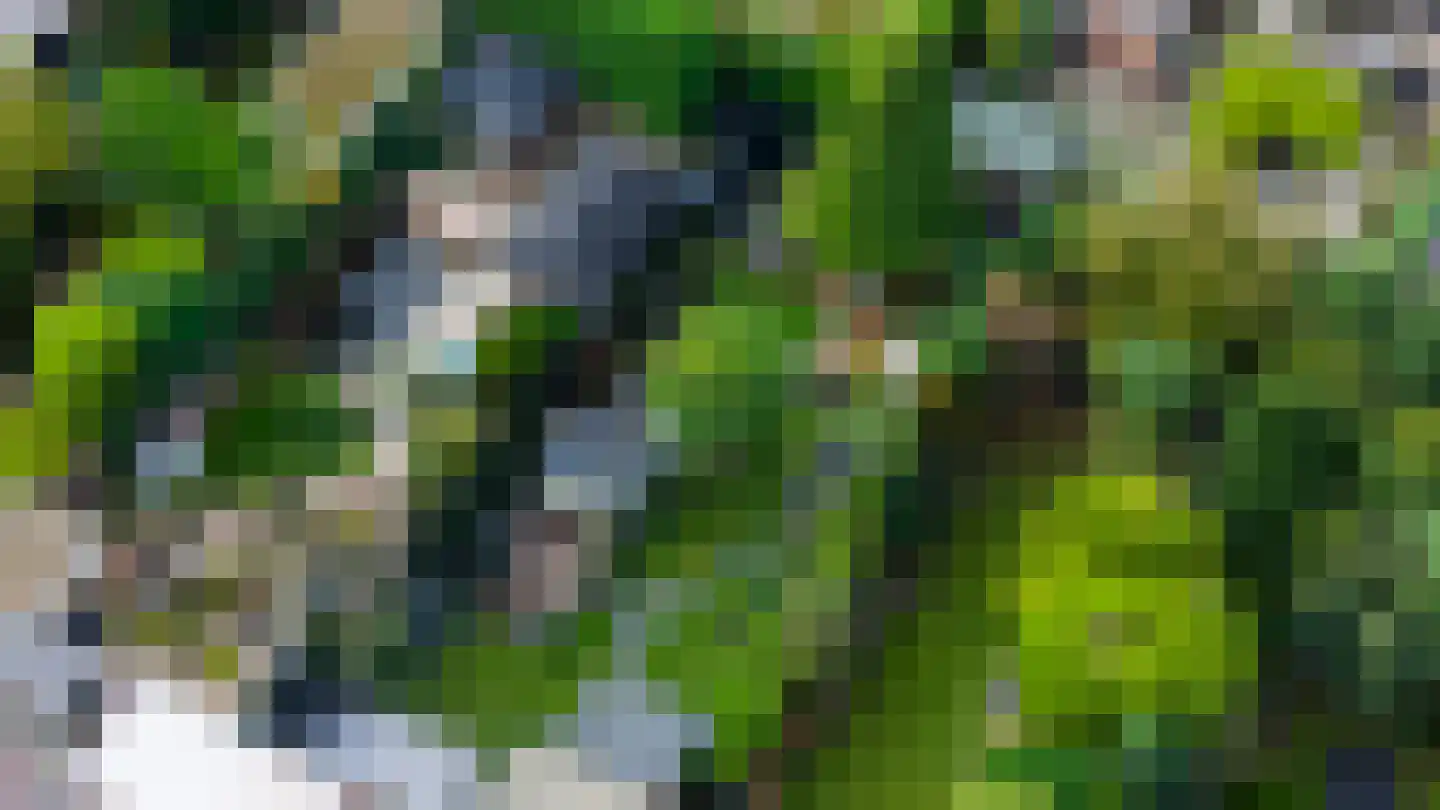 Hoefweg 88 Bleiswijk thumbnail 17