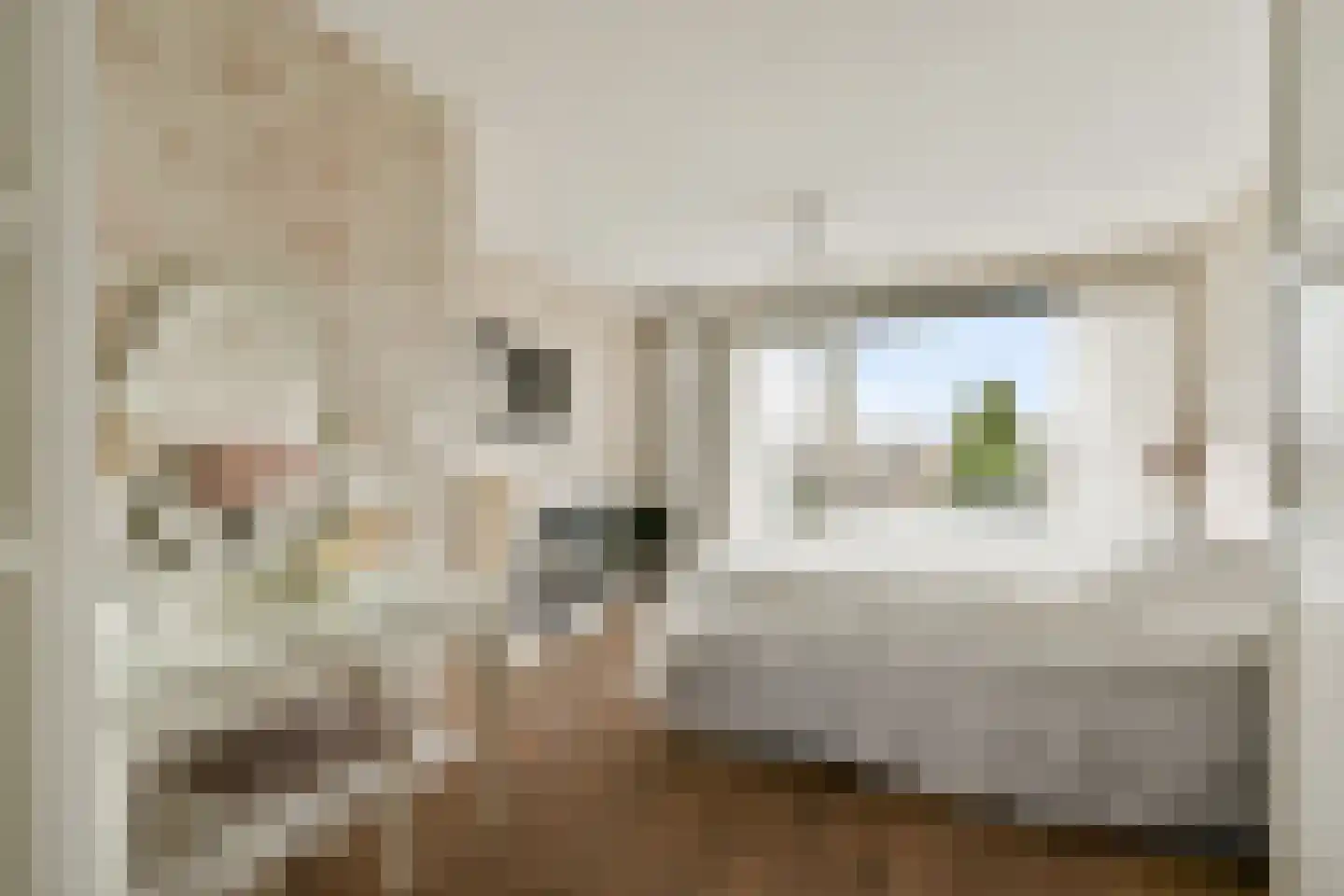 Hoefweg 88 Bleiswijk thumbnail 21
