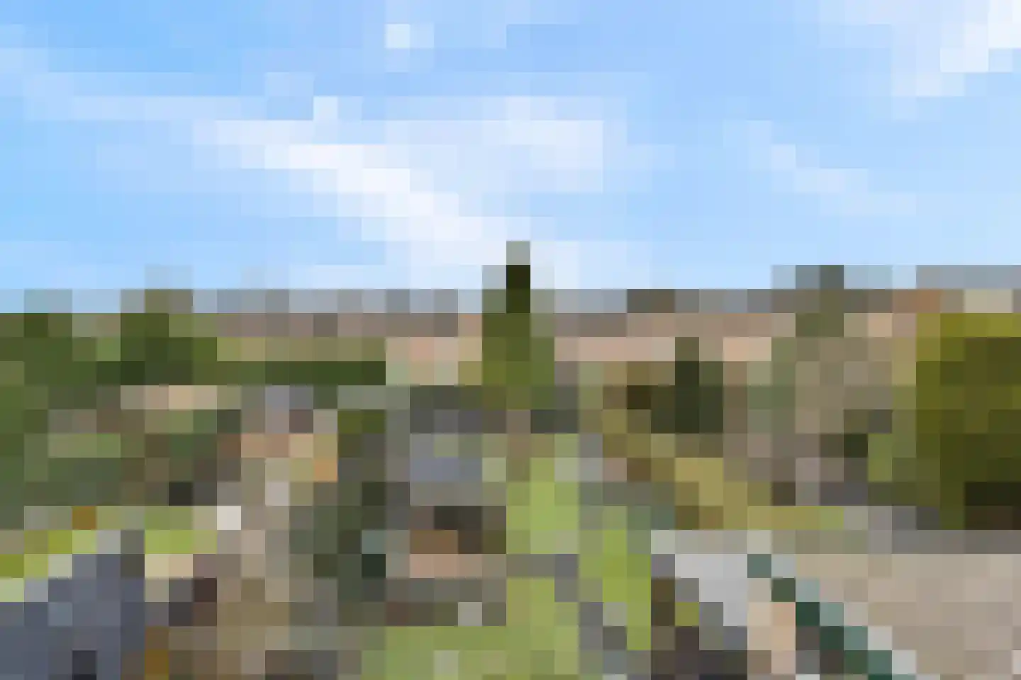 Hoefweg 88 Bleiswijk thumbnail 23