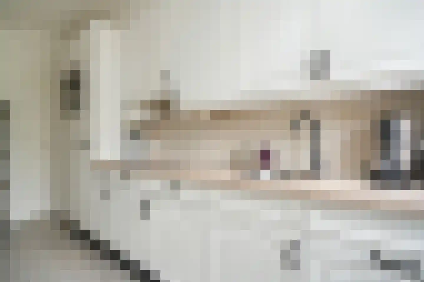 Hoeghen Camp 3 Heukelum thumbnail 12
