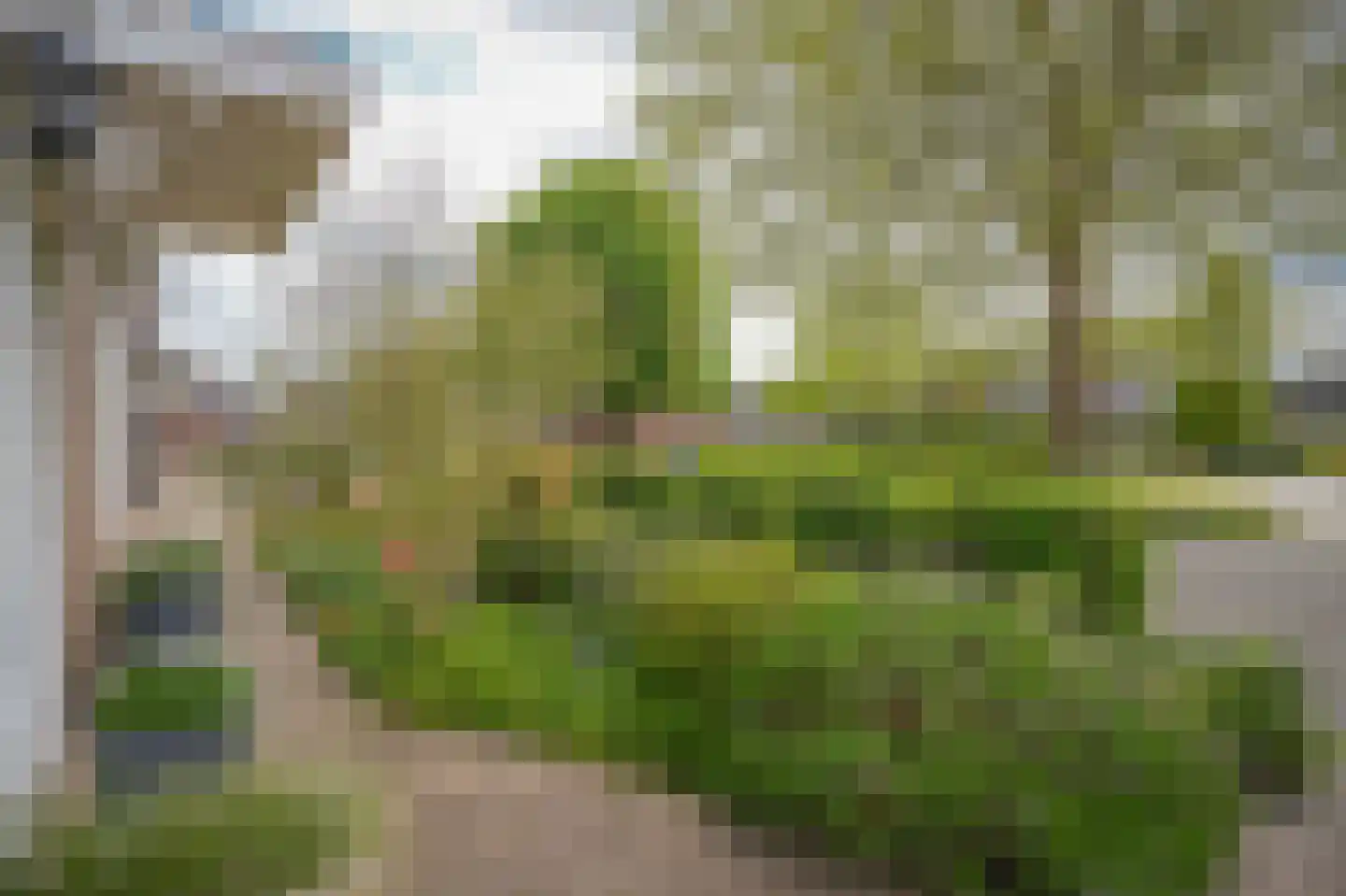 Hoeghen Camp 3 Heukelum thumbnail 31