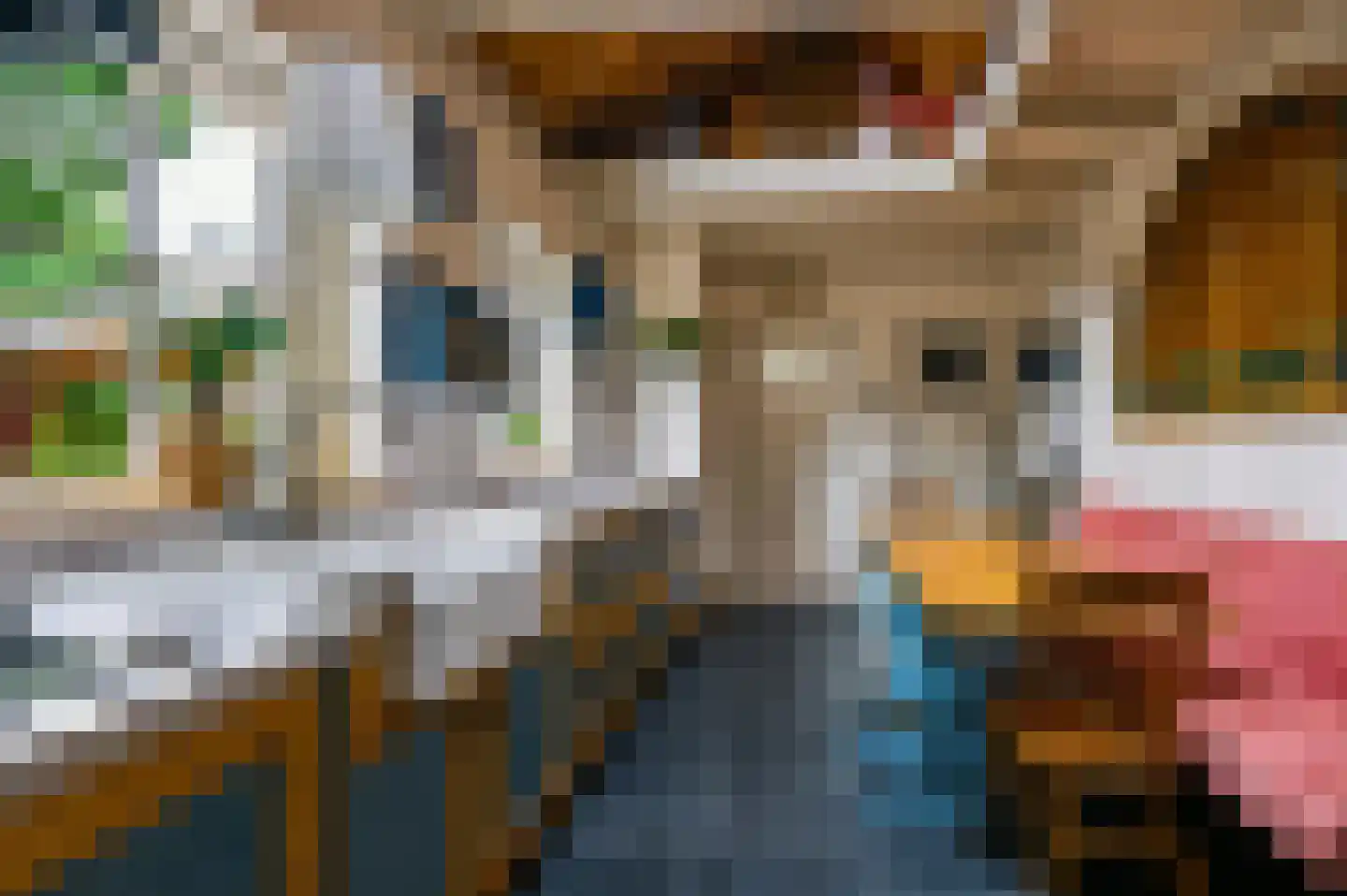 Hoek 10 Meeuwen thumbnail 13