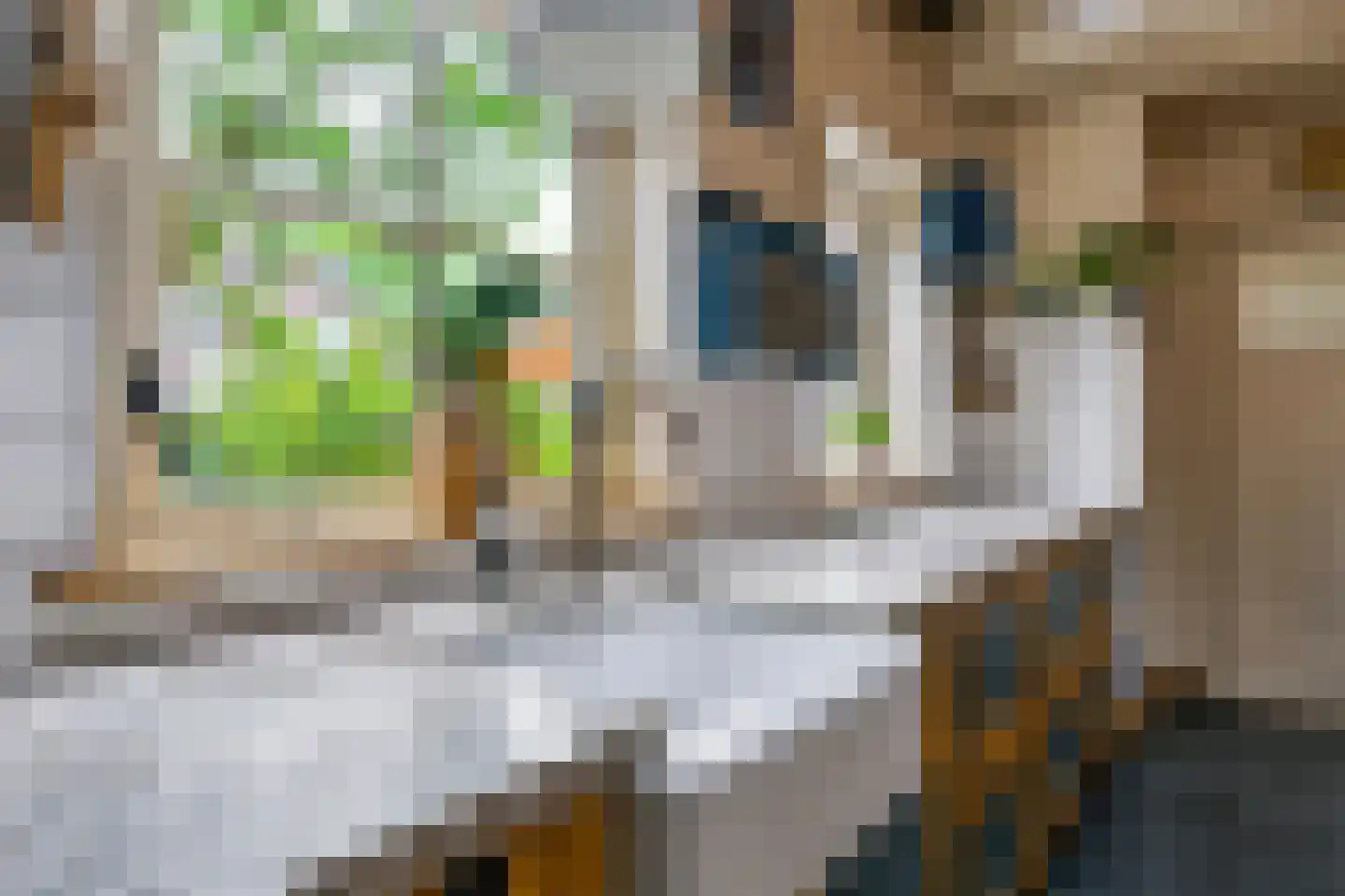 Hoek 10 Meeuwen thumbnail 14