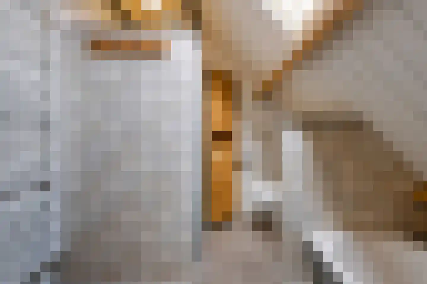 Hoek 10 Meeuwen thumbnail 25