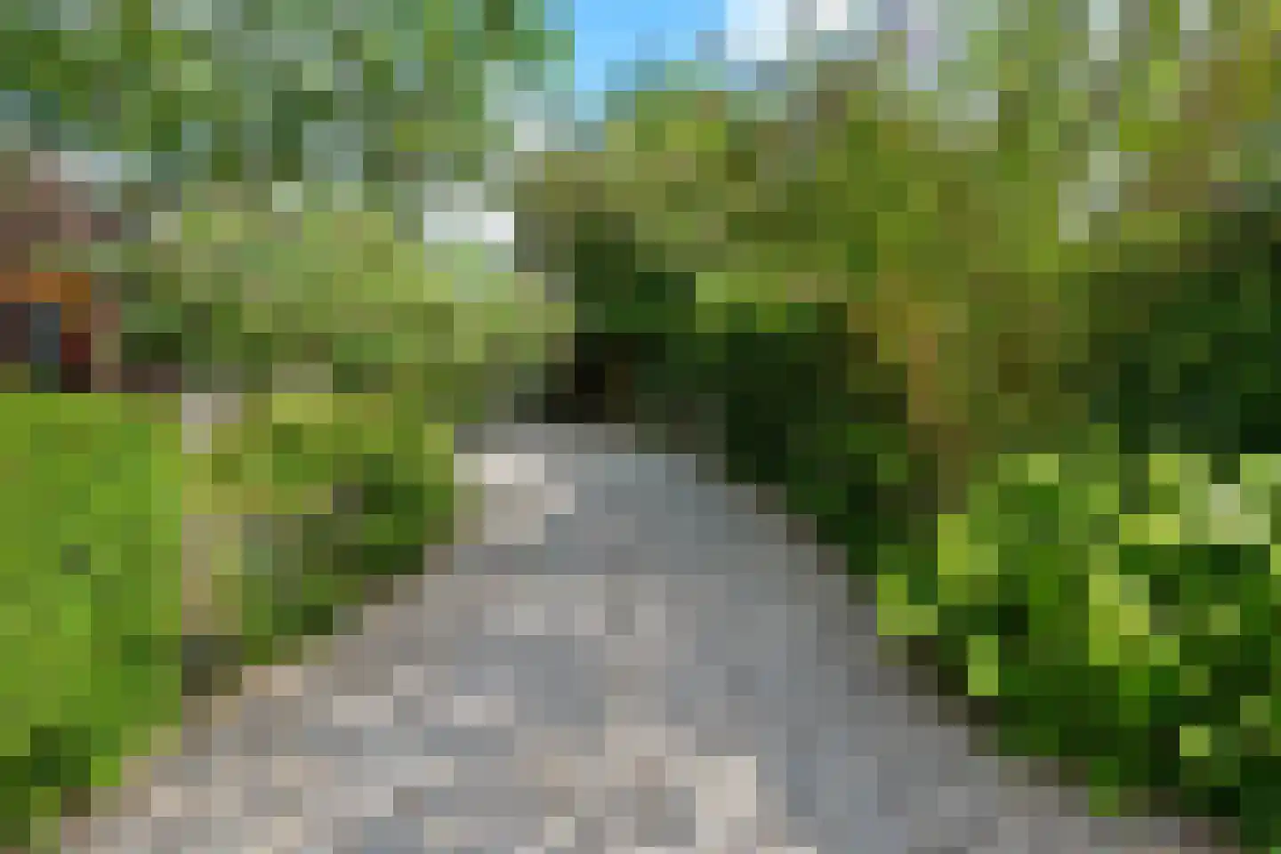Hoek 10 Meeuwen thumbnail 32