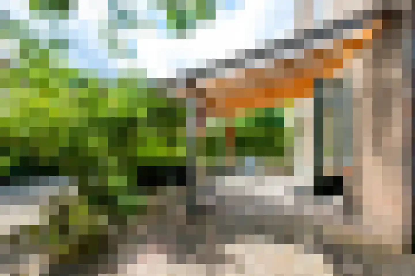 Hoek 10 Meeuwen thumbnail 37