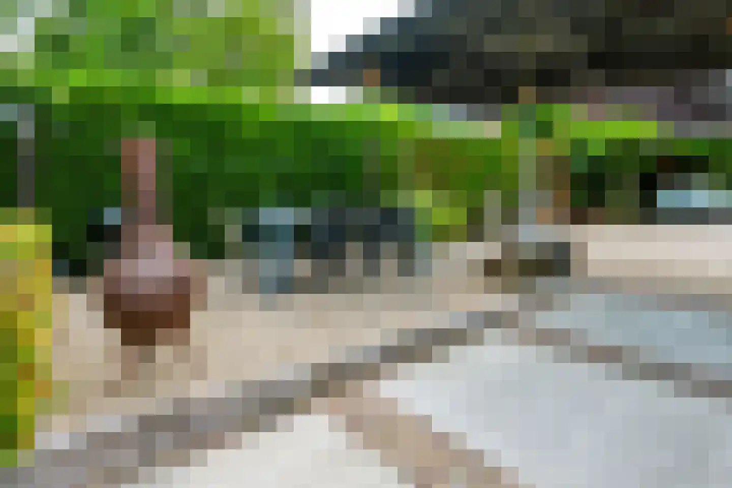 Hoek 10 Meeuwen thumbnail 44