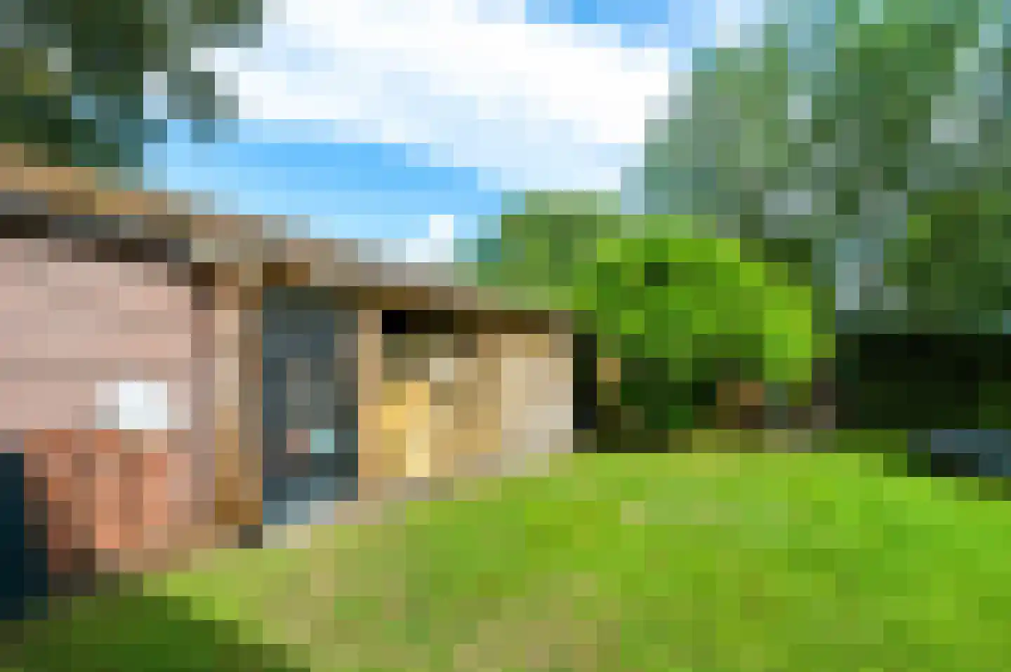 Hoek 10 Meeuwen thumbnail 48