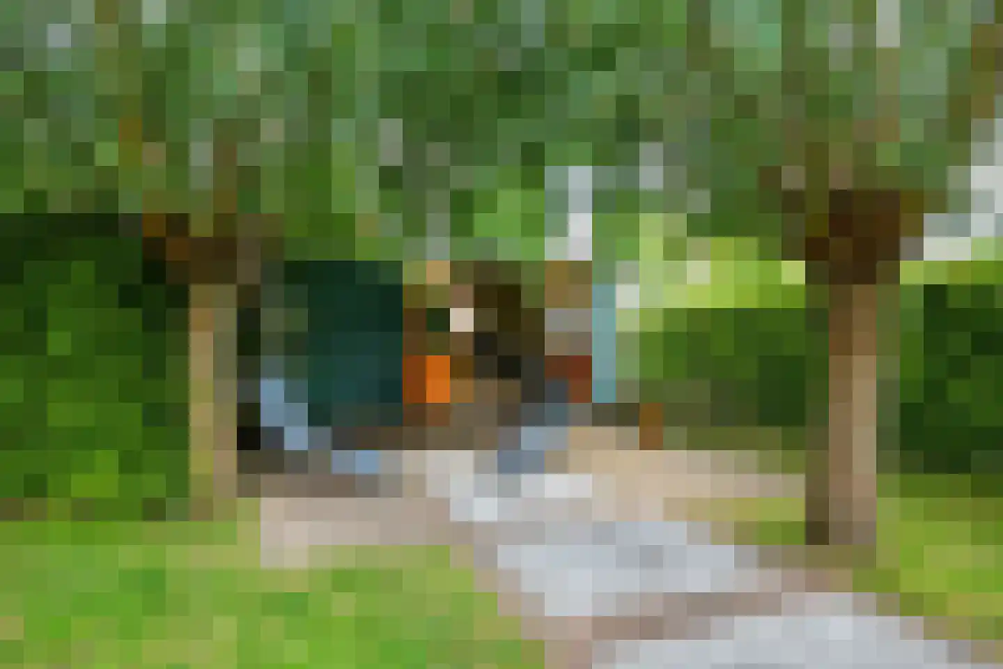 Hoek 10 Meeuwen thumbnail 49