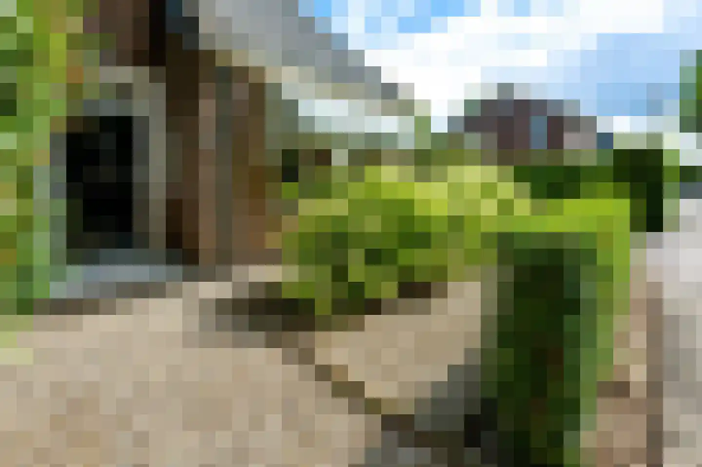 Hoek 10 Meeuwen thumbnail 5