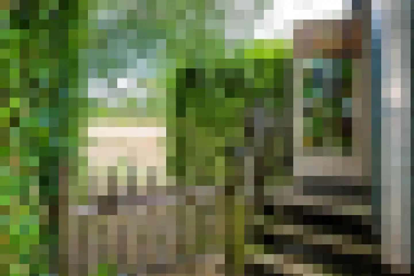Hoek 10 Meeuwen thumbnail 50