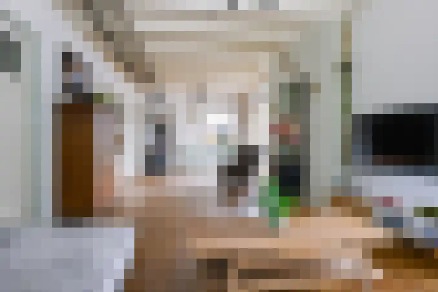 Hoek 10 Meeuwen thumbnail 9