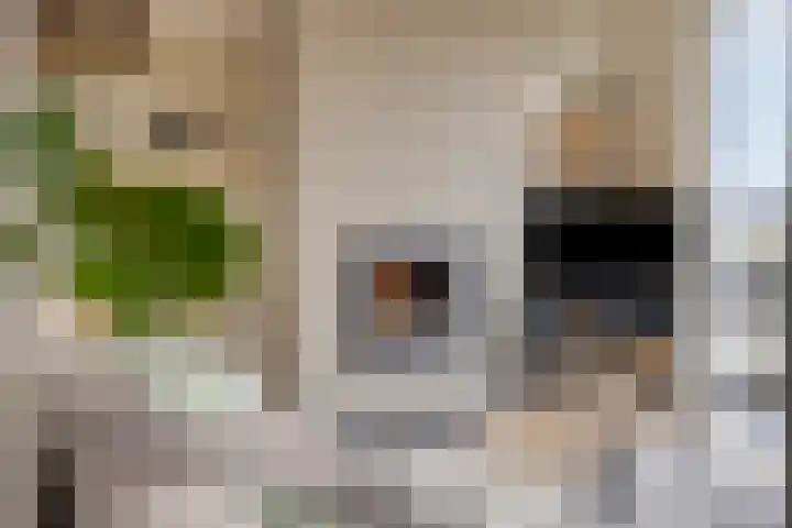Hoek 11 Bergeijk thumbnail 10
