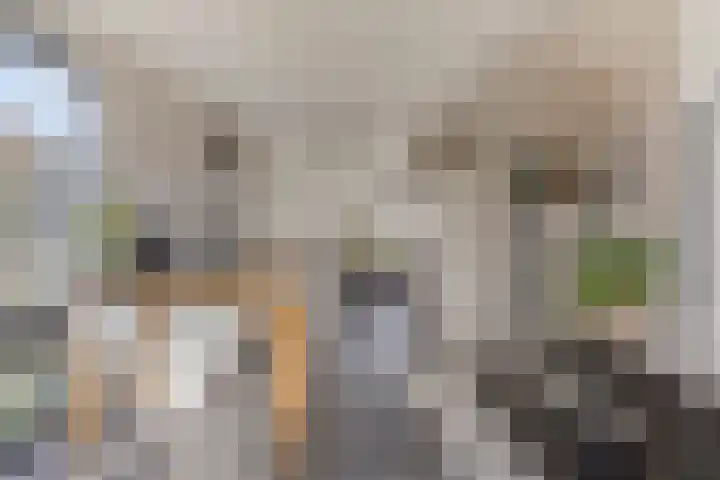 Hoek 11 Bergeijk thumbnail 11