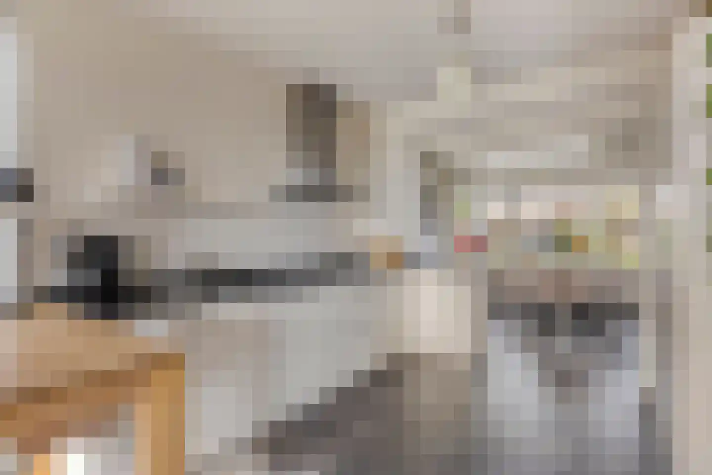 Hoek 11 Bergeijk thumbnail 12