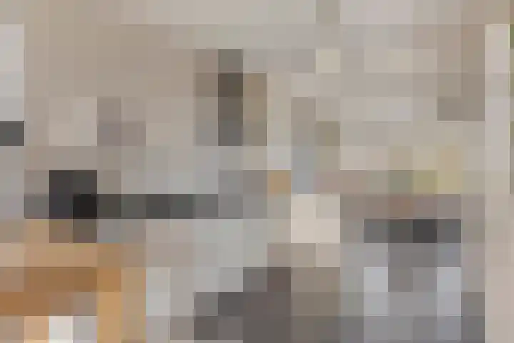 Hoek 11 Bergeijk thumbnail 12