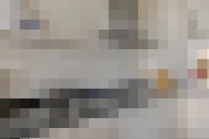 Hoek 11 Bergeijk thumbnail 13