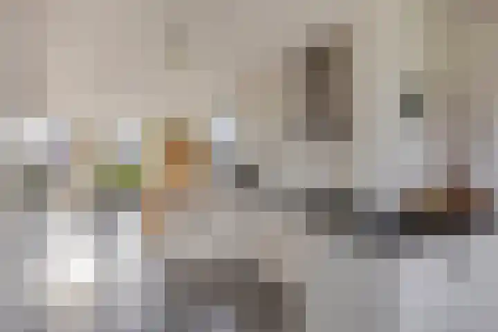 Hoek 11 Bergeijk thumbnail 14