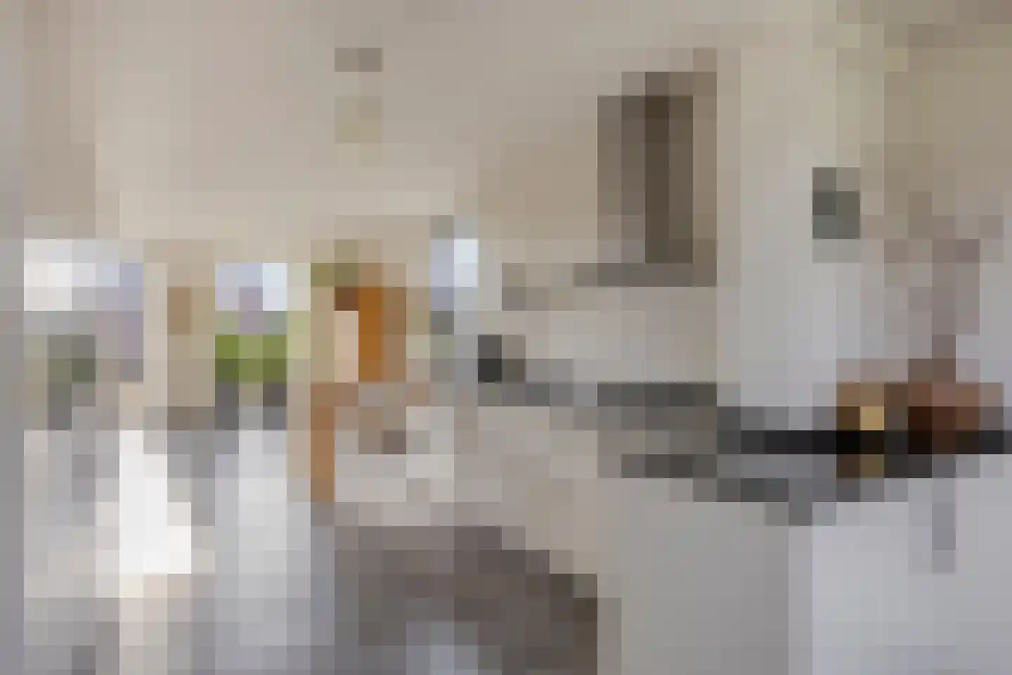 Hoek 11 Bergeijk thumbnail 14