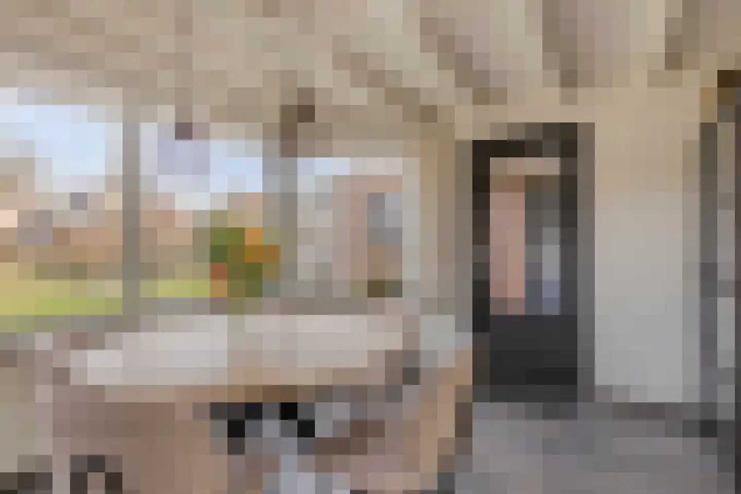 Hoek 11 Bergeijk thumbnail 17