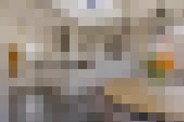 Hoek 11 Bergeijk thumbnail 18