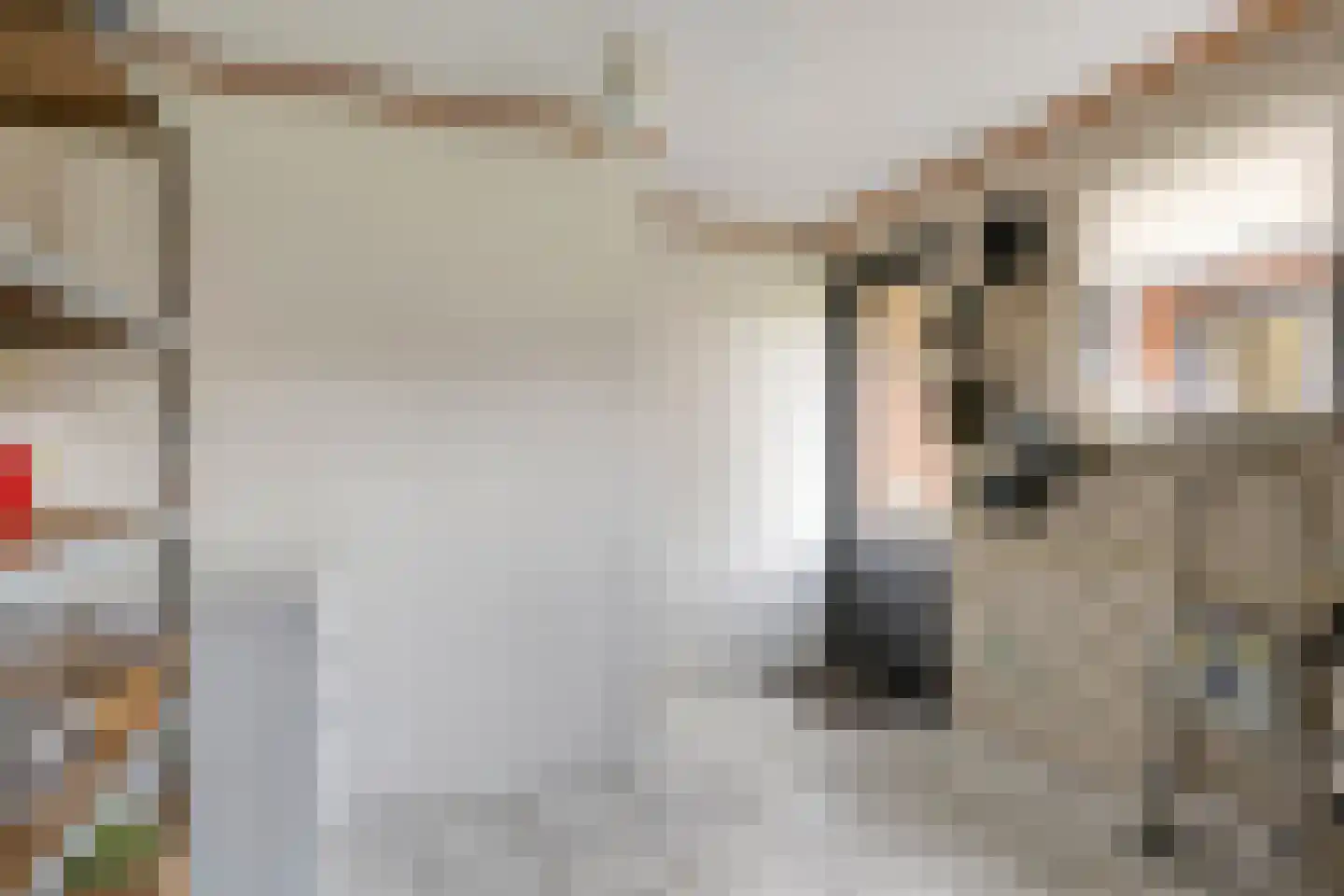 Hoek 11 Bergeijk thumbnail 24