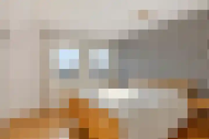 Hoek 11 Bergeijk thumbnail 25