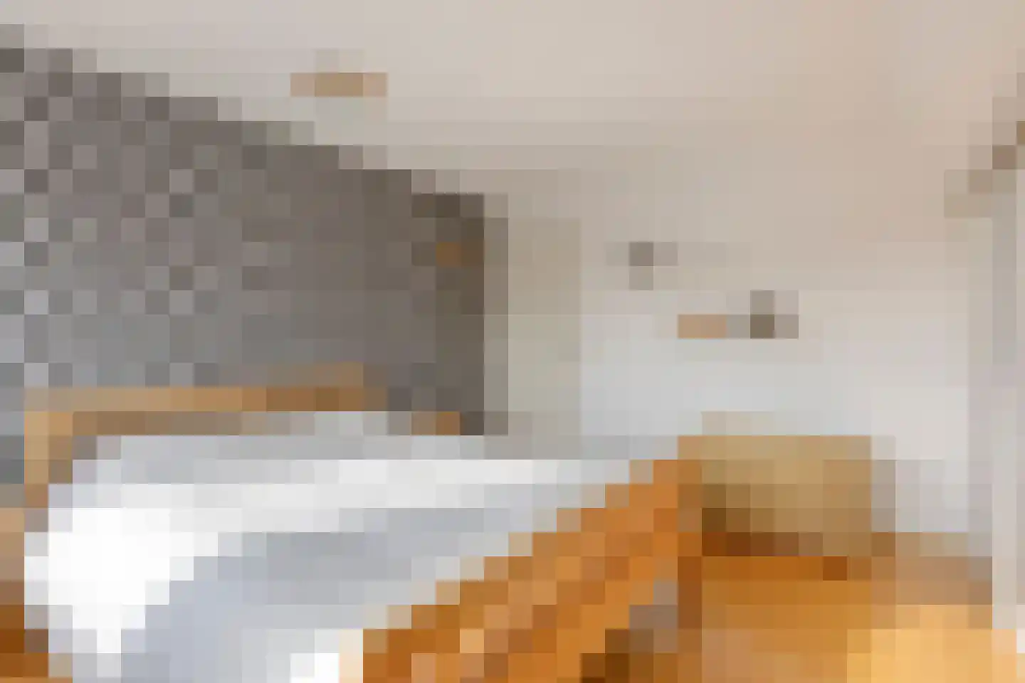 Hoek 11 Bergeijk thumbnail 26