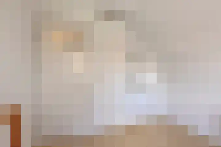 Hoek 11 Bergeijk thumbnail 30
