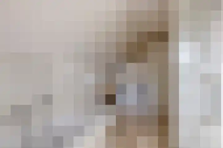 Hoek 11 Bergeijk thumbnail 32
