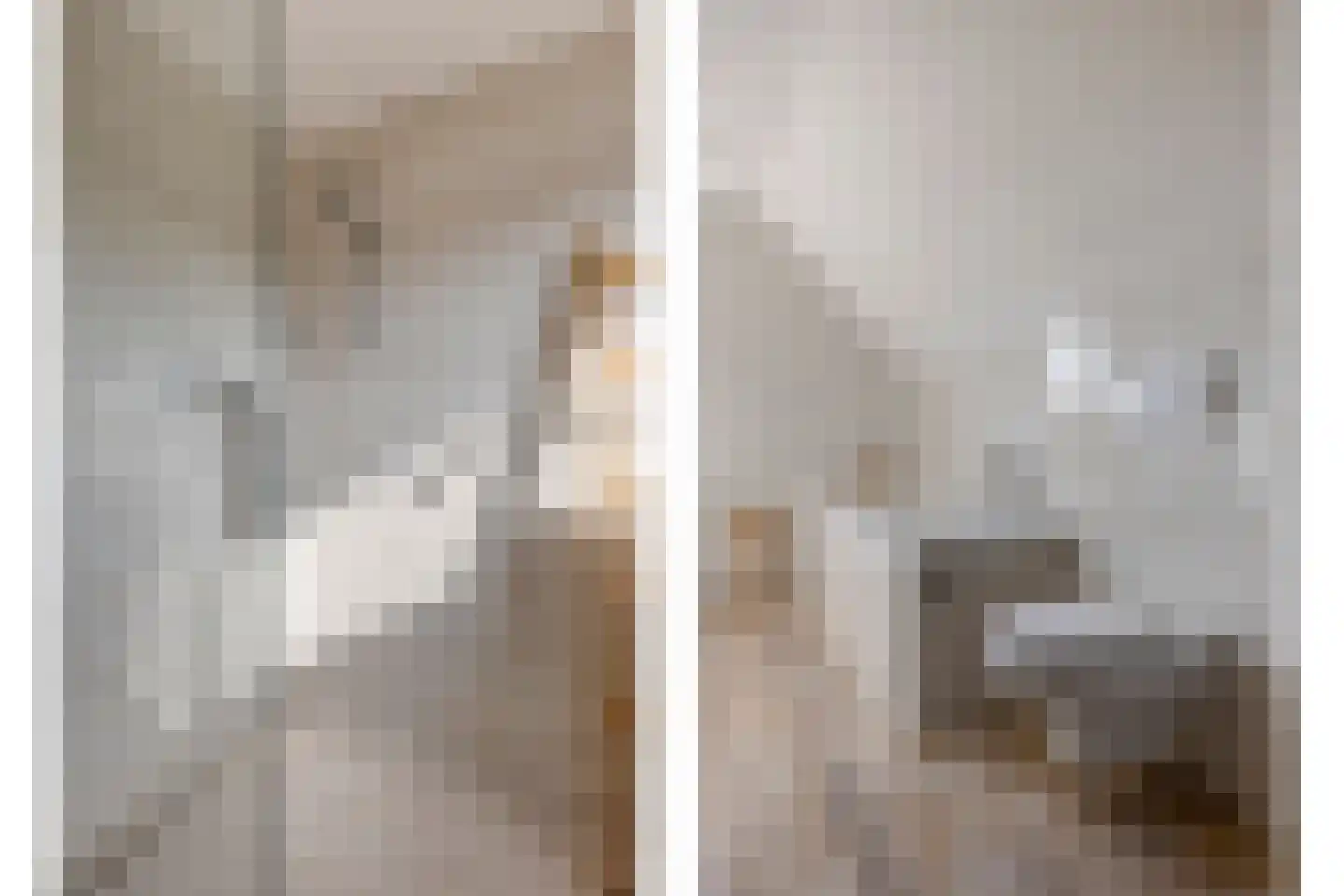 Hoek 11 Bergeijk thumbnail 33