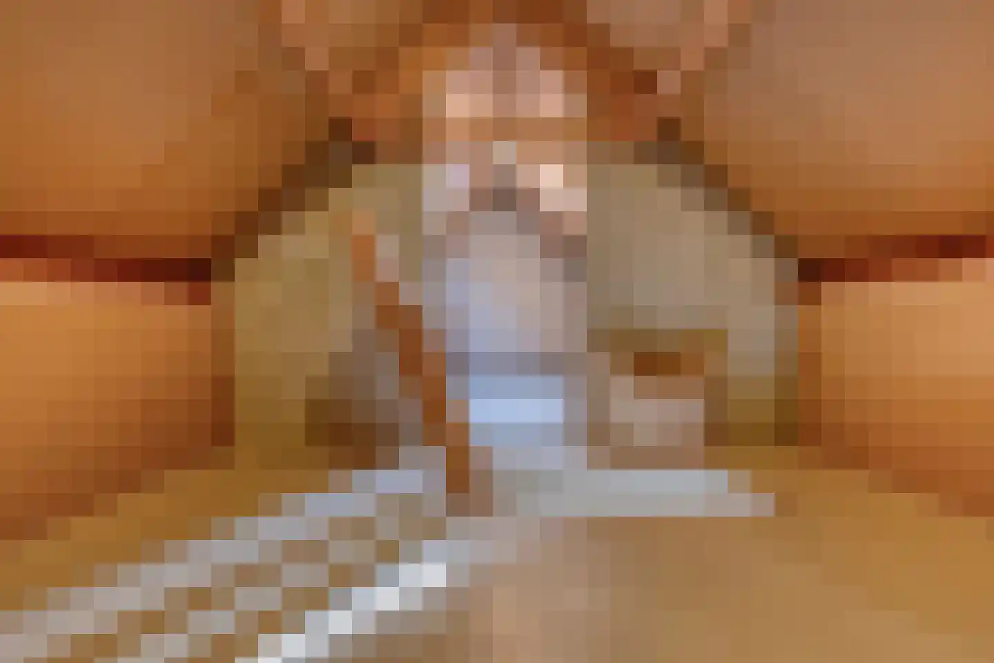 Hoek 11 Bergeijk thumbnail 34