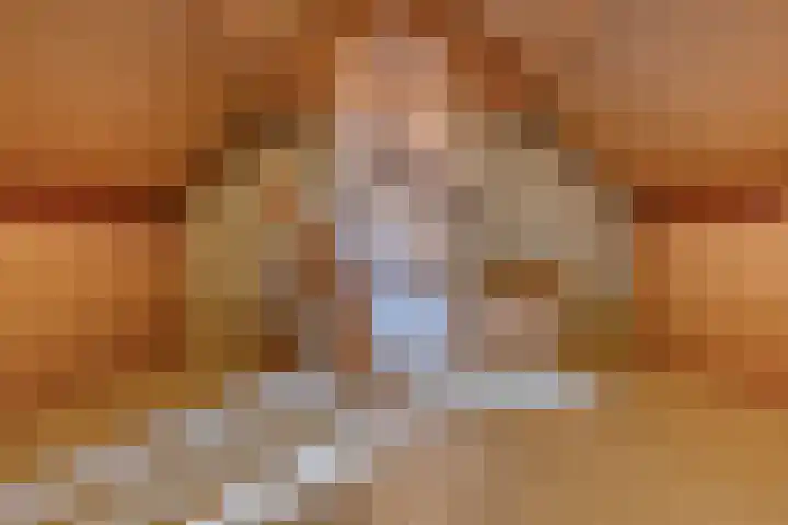 Hoek 11 Bergeijk thumbnail 34
