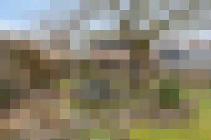 Hoek 11 Bergeijk thumbnail 37