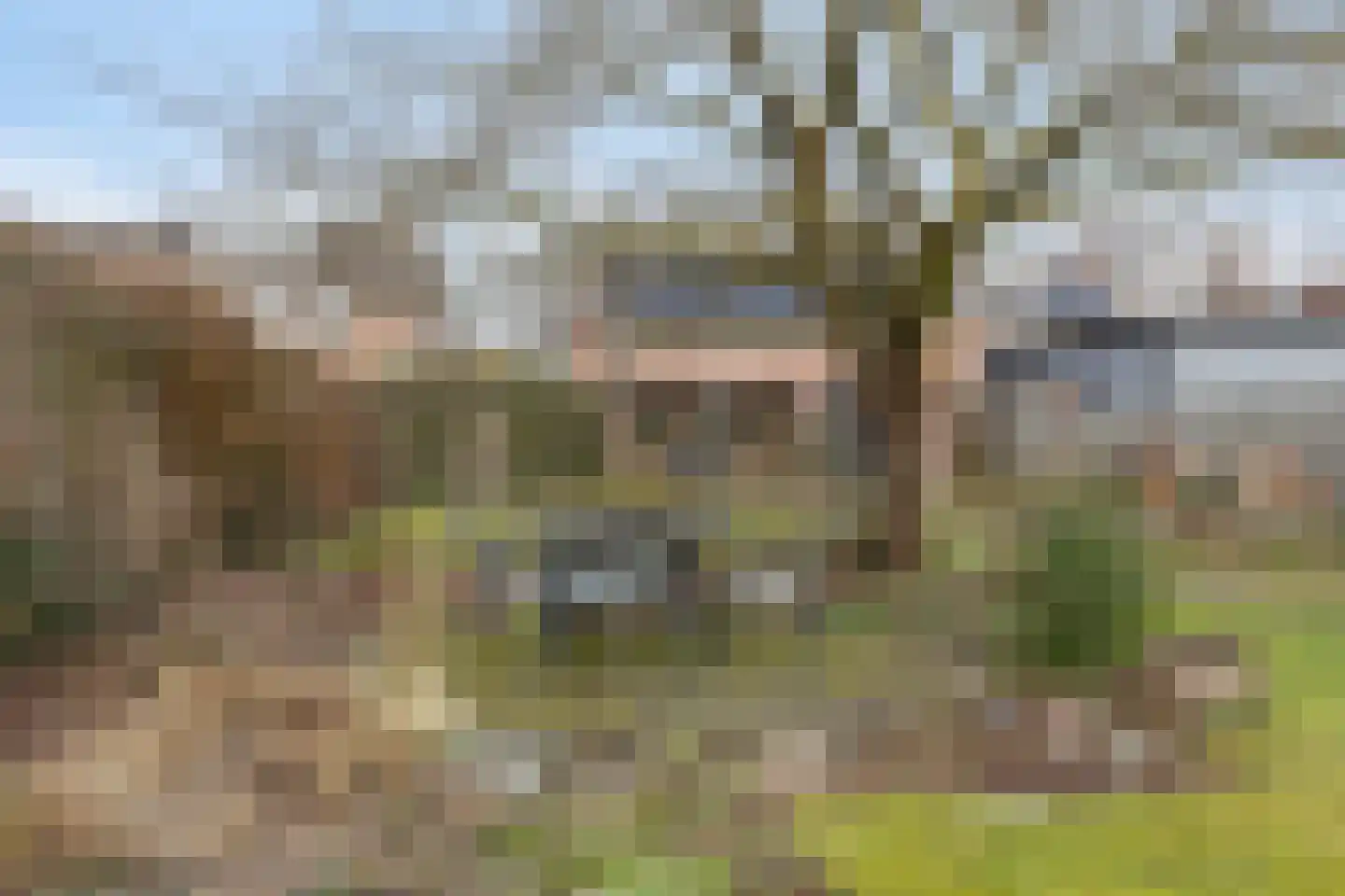 Hoek 11 Bergeijk thumbnail 37