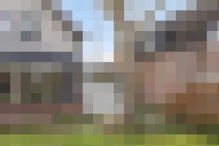 Hoek 11 Bergeijk thumbnail 38
