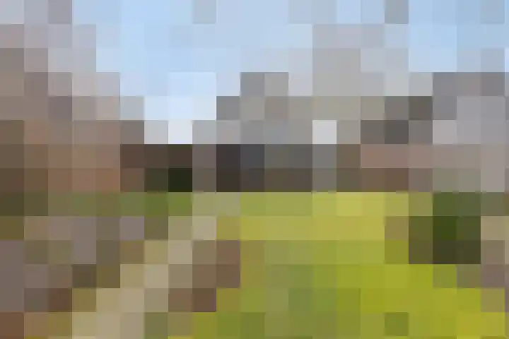 Hoek 11 Bergeijk thumbnail 39