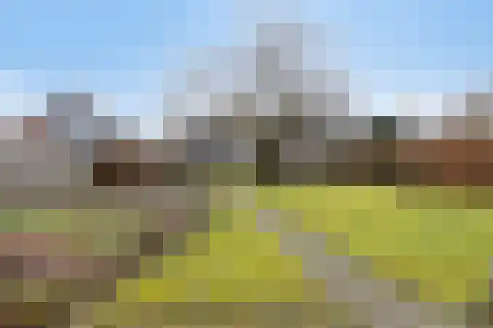 Hoek 11 Bergeijk thumbnail 40