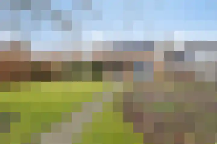 Hoek 11 Bergeijk thumbnail 41