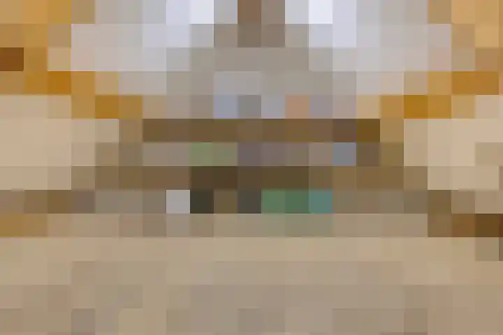 Hoek 11 Bergeijk thumbnail 46