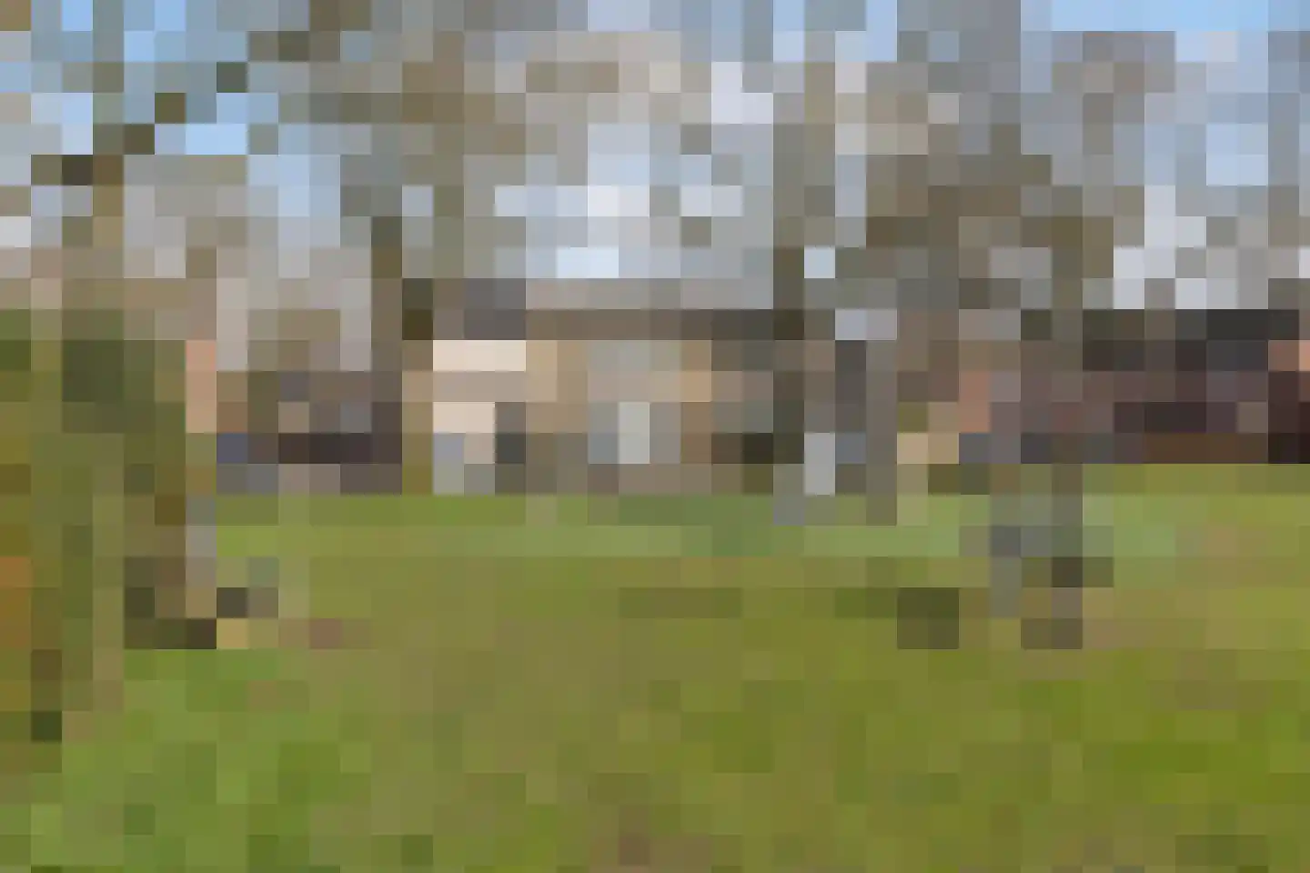 Hoek 11 Bergeijk thumbnail 48